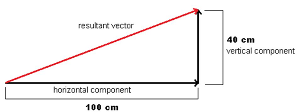 Scalar and Vector