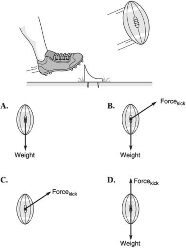 newton's second law of motion